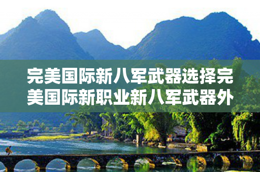 完美国际新八军武器选择完美国际新职业新八军武器外观，炫酷与力量的完美结合，完美国际新八军炫酷武器亮相，力量与颜值并存