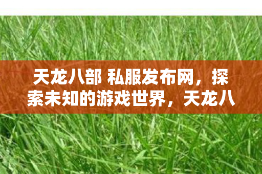 天龙八部 私服发布网图片