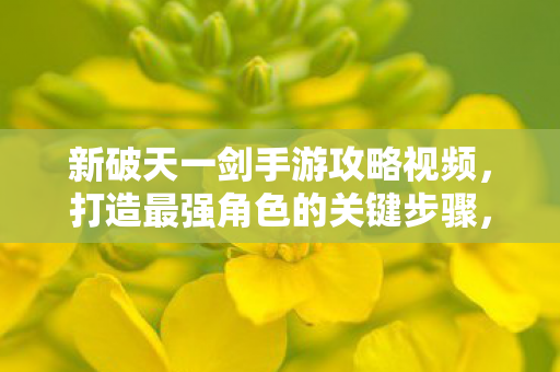 新破天一剑手游攻略视频图片