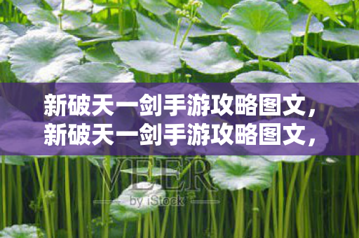 新破天一剑手游攻略图文图片