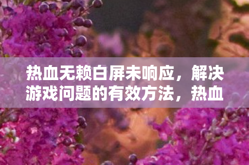热血无赖白屏未响应,解决游戏问题的有效方法,热血无赖白屏未响应,如何解决游戏问题? 热血无赖白屏未响应,解决游戏问题的有效方法,热血无赖白屏未响应,如何解决游戏问题?