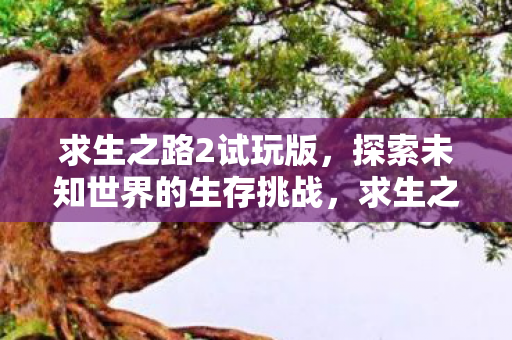 求生之路2试玩版,探索未知世界的生存挑战,求生之路2试玩版,探索未知世界的生存挑战之旅 求生之路2试玩版,探索未知世界的生存挑战,求生之路2试玩版,探索未知世界的生存挑战之旅
