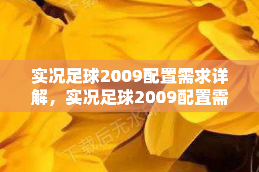 实况足球2009配置需求详解,实况足球2009配置需求全解析 实况足球2009配置需求详解,实况足球2009配置需求全解析