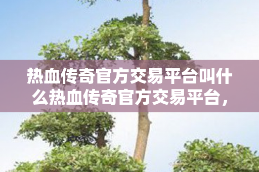 热血传奇官方交易平台叫什么热血传奇官方交易平台图片