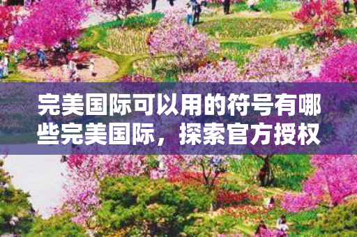 完美国际可以用的符号有哪些完美国际，探索官方授权服务器的独特魅力，完美国际，探索官方授权服务器的独特魅力