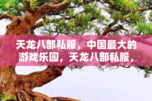 天龙八部私服，中国最大的游戏乐园，天龙八部私服，中国最大的游戏乐园揭秘