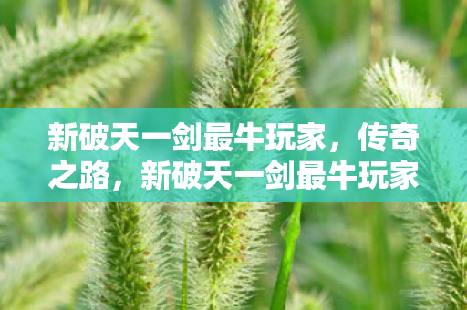 新破天一剑最牛玩家传奇之路图片