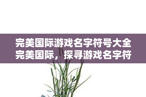 完美国际游戏名字符号大全完美国际，探寻游戏名字符号背后的故事，完美国际，探寻游戏名字符号背后的故事
