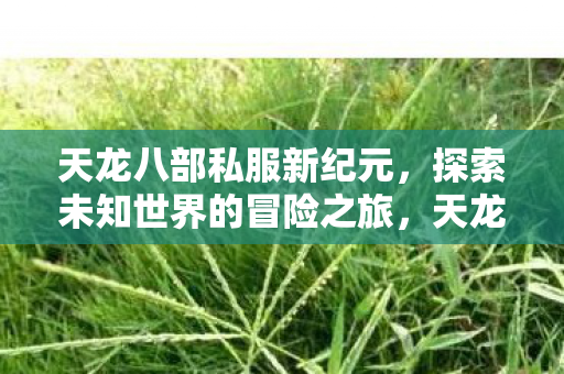天龙八部私服新纪元，探索未知世界的冒险之旅，天龙八部私服新纪元，探索未知世界的冒险之旅