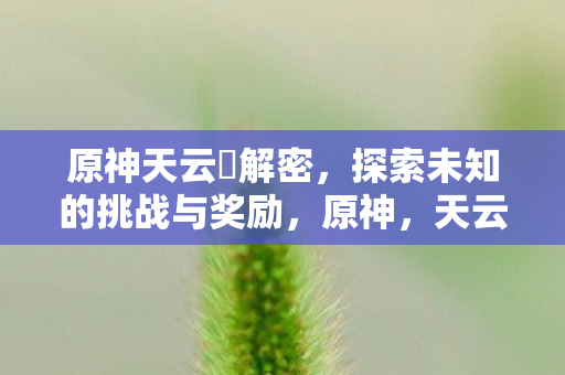 原神天云峠解密,探索未知的挑战与奖励,原神,天云峠解密,挑战与奖励并存 原神天云峠解密,探索未知的挑战与奖励,原神,天云峠解密,挑战与奖励并存