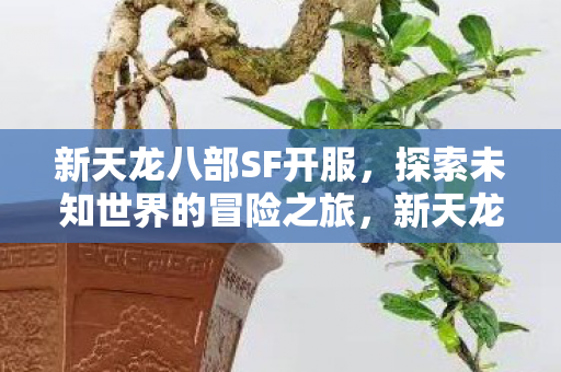 新天龙八部SF开服，探索未知世界的冒险之旅，新天龙八部SF开启，探索未知世界的冒险之旅
