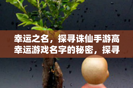 幸运之名,探寻诛仙手游高幸运游戏名字的秘密,探寻诛仙手游高幸运游戏名字的秘密 幸运之名,探寻诛仙手游高幸运游戏名字的秘密,探寻诛仙手游高幸运游戏名字的秘密