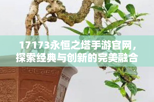 17173永恒之塔手游官网图片