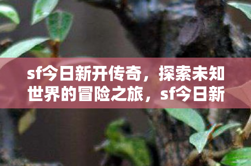 探索未知世界的冒险之旅图片