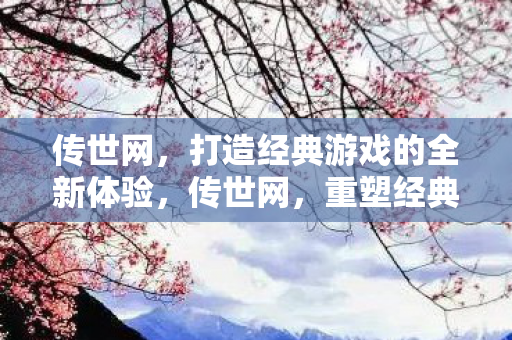 传世网，打造经典游戏的全新体验，传世网，重塑经典游戏，打造全新体验
