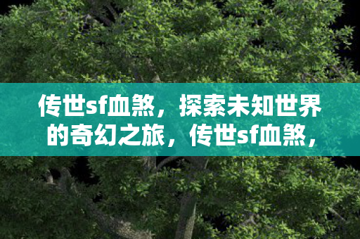 传世sf血煞，探索未知世界的奇幻之旅，传世sf血煞，探索未知世界的奇幻之旅
