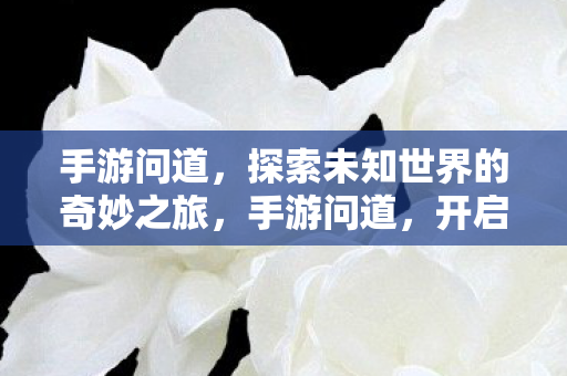 手游问道，探索未知世界的奇妙之旅，手游问道，开启探索未知世界的奇妙之旅