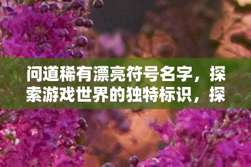 探索游戏世界的独特标识图片
