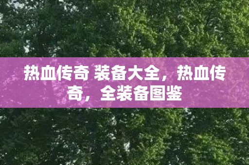 热血传奇 装备大全图片