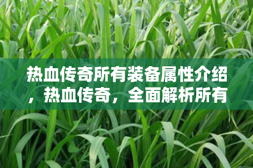 热血传奇所有装备属性介绍,热血传奇,全面解析所有装备属性 热血传奇所有装备属性介绍,热血传奇,全面解析所有装备属性