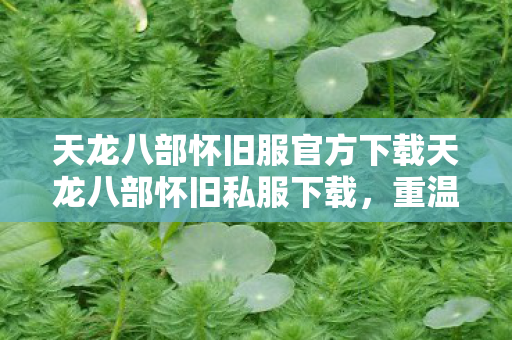 天龙八部怀旧服官方下载天龙八部怀旧私服下载，重温经典，畅游武侠世界，天龙八部怀旧服官方下载，重温经典武侠世界