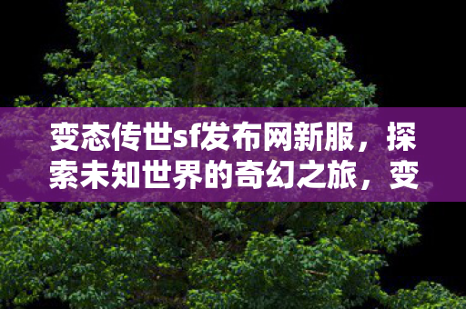 变态传世sf发布网新服，探索未知世界的奇幻之旅，变态传世sf发布网新服，开启探索未知世界的奇幻之旅