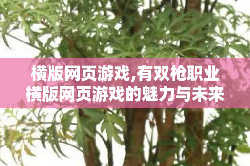横版网页游戏,有双枪职业横版网页游戏的魅力与未来展望，双枪职业横版网页游戏，魅力与未来展望