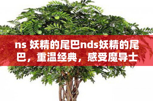 ns 妖精的尾巴nds妖精的尾巴，重温经典，感受魔导士的热血战斗，重温经典，感受妖精的尾巴魔导士的热血战斗