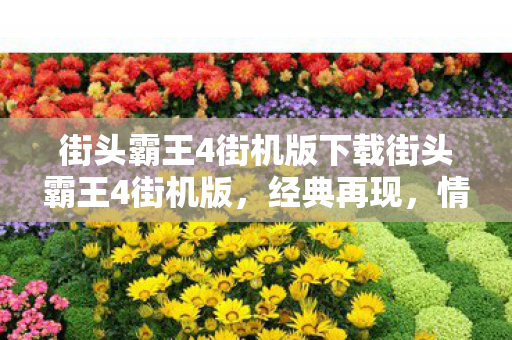街头霸王4街机版下载街头霸王4街机版,经典再现,情怀与技术的碰撞,街头霸王4街机版,经典再现,情怀与技术的碰撞 街头霸王4街机版下载街头霸王4街机版,经典再现,情怀与技术的碰撞,街头霸王4街机版,经典再现,情怀与技术的碰撞
