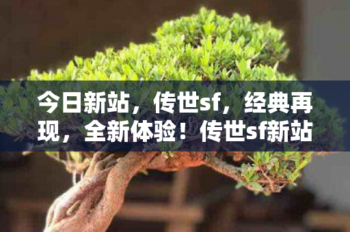 今日新站，传世sf，经典再现，全新体验！传世sf新站上线，经典游戏全新体验来袭！