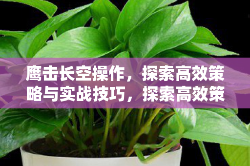 鹰击长空操作,探索高效策略与实战技巧,探索高效策略与实战技巧,鹰击长空操作 鹰击长空操作,探索高效策略与实战技巧,探索高效策略与实战技巧,鹰击长空操作