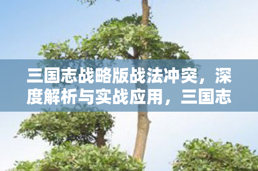 三国志战略版战法冲突,深度解析与实战应用,三国志战略版战法冲突解析及实战策略 三国志战略版战法冲突,深度解析与实战应用,三国志战略版战法冲突解析及实战策略