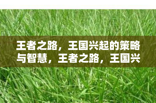 王者之路,王国兴起的策略与智慧,王者之路,王国兴起的策略与智慧 王者之路,王国兴起的策略与智慧,王者之路,王国兴起的策略与智慧