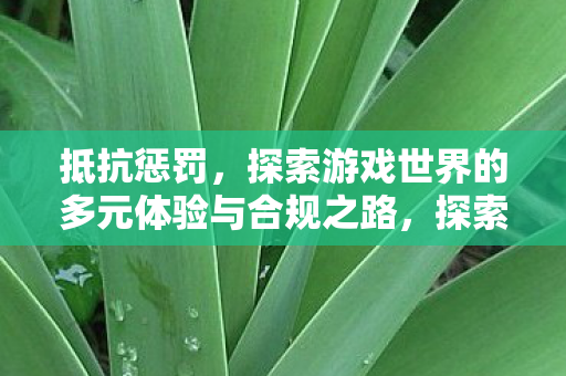抵抗惩罚,探索游戏世界的多元体验与合规之路,探索游戏世界的多元体验与合规之路 抵抗惩罚,探索游戏世界的多元体验与合规之路,探索游戏世界的多元体验与合规之路