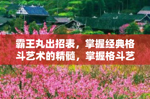 霸王丸出招表,掌握经典格斗艺术的精髓,掌握格斗艺术,霸王丸出招表全解析 霸王丸出招表,掌握经典格斗艺术的精髓,掌握格斗艺术,霸王丸出招表全解析