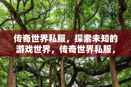 传奇世界私服，探索未知的游戏世界，传奇世界私服，探索未知的游戏世界