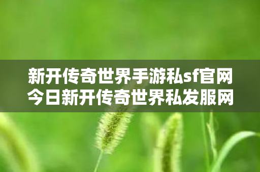 新开传奇世界手游私sf官网今日新开传奇世界私发服网图片