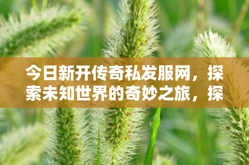 今日新开传奇私发服网，探索未知世界的奇妙之旅，探索未知世界的奇妙之旅，新开传奇私发服网