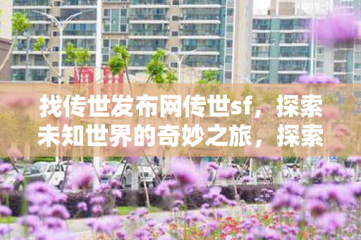 传世发布网传世sf等你来体验图片