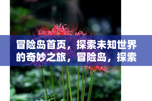 探索未知世界的奇妙之旅图片