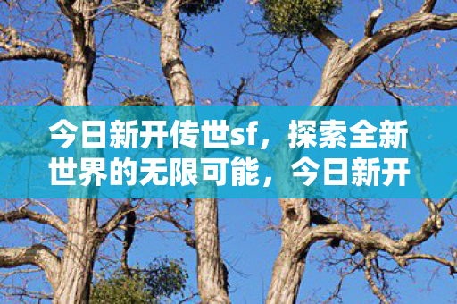 今日新开传世sf，探索全新世界的无限可能，今日新开传世sf，探索全新世界的无限可能