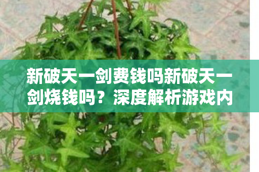新破天一剑费钱吗新破天一剑烧钱吗图片