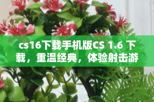 cs16下载手机版CS 1.6 下载，重温经典，体验射击游戏的魅力，CS 1.6手机版下载，重温经典射击游戏魅力