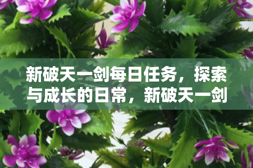 每日任务引领探索与成长之旅图片