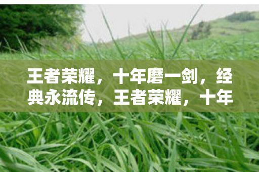 王者荣耀，十年磨一剑，经典永流传，王者荣耀，十年磨一剑，经典永流传