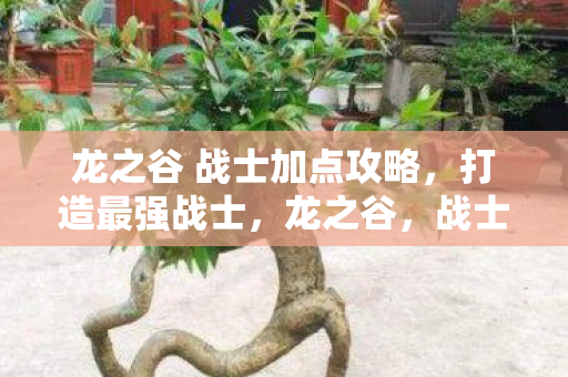 龙之谷 战士加点攻略图片
