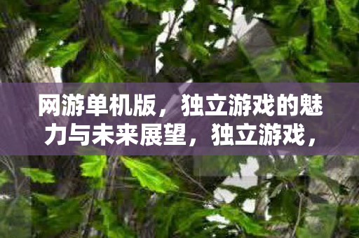 网游单机版，独立游戏的魅力与未来展望，独立游戏，魅力与未来展望