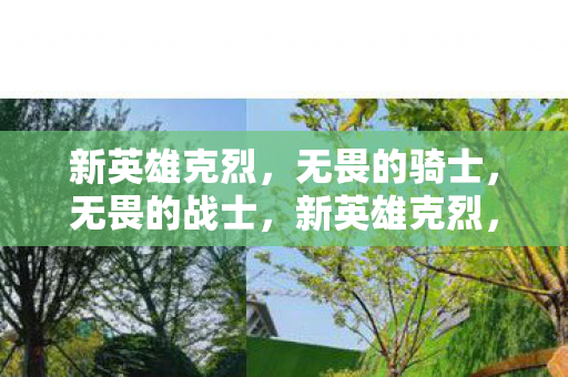 新英雄克烈,无畏的骑士,无畏的战士,新英雄克烈,无畏的骑士与战士 新英雄克烈,无畏的骑士,无畏的战士,新英雄克烈,无畏的骑士与战士