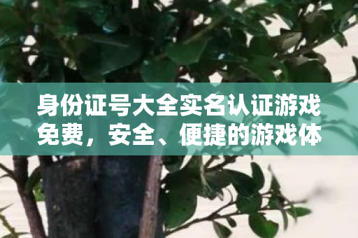 身份证号大全实名认证游戏免费,安全、便捷的游戏体验新选择,身份证号大全助力游戏实名认证,打造安全便捷游戏体验 身份证号大全实名认证游戏免费,安全、便捷的游戏体验新选择,身份证号大全助力游戏实名认证,打造安全便捷游戏体验