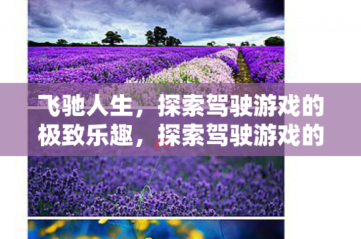 飞驰人生,探索驾驶游戏的极致乐趣,探索驾驶游戏的极致乐趣,飞驰人生 飞驰人生,探索驾驶游戏的极致乐趣,探索驾驶游戏的极致乐趣,飞驰人生